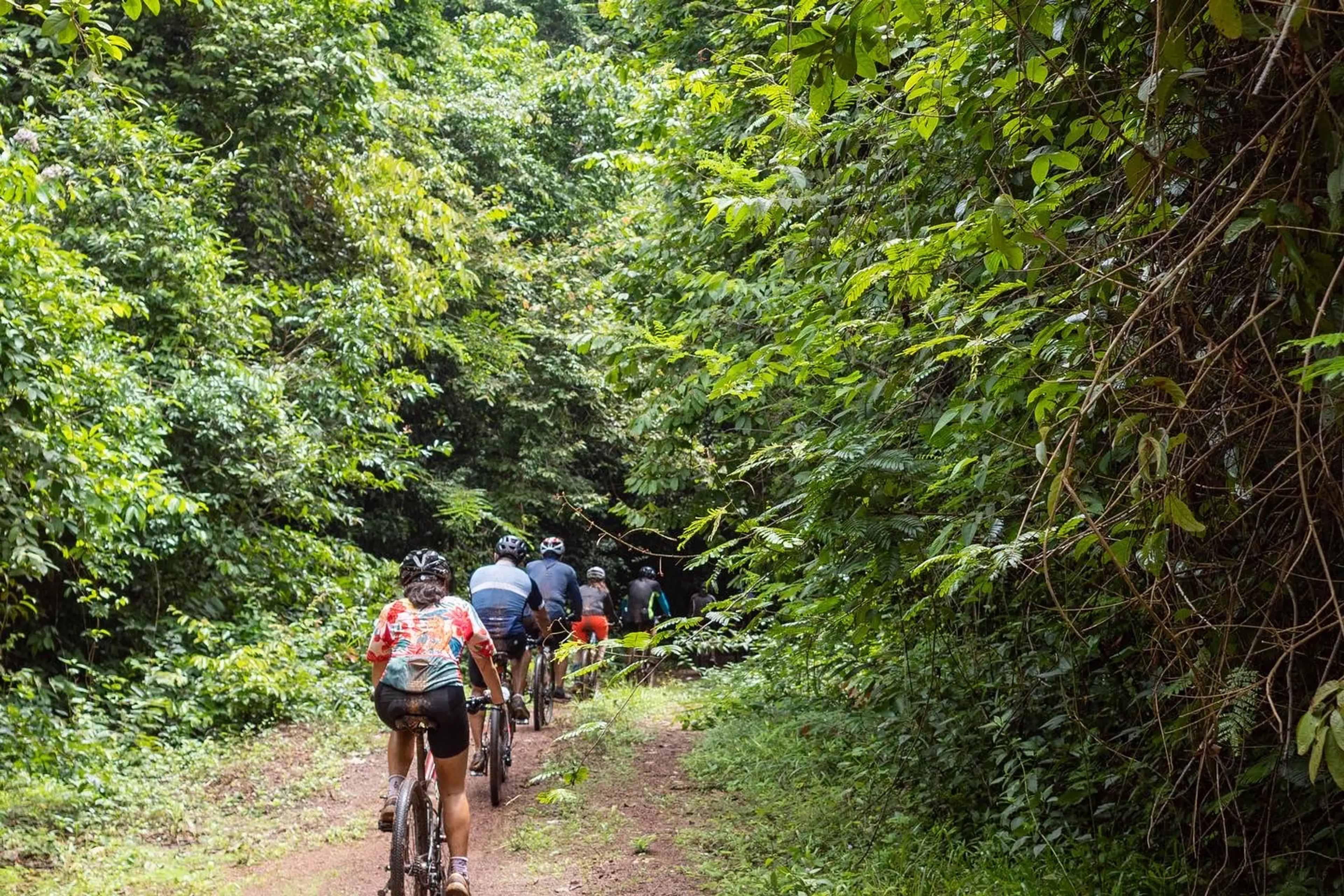 South Vietnam Jungle Adventure Tour