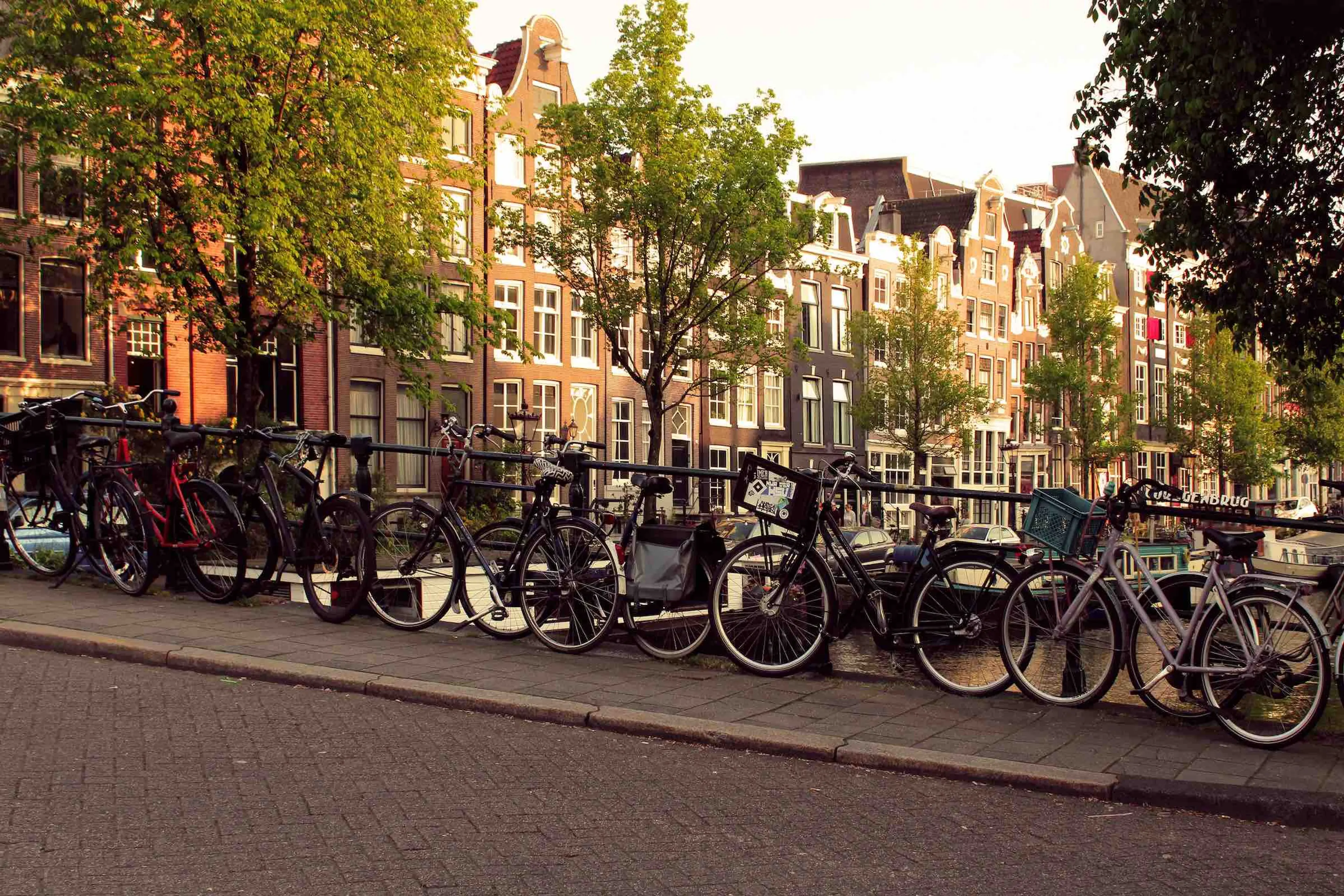 Bicycle is the most selected transportation vehicle in Netherlands