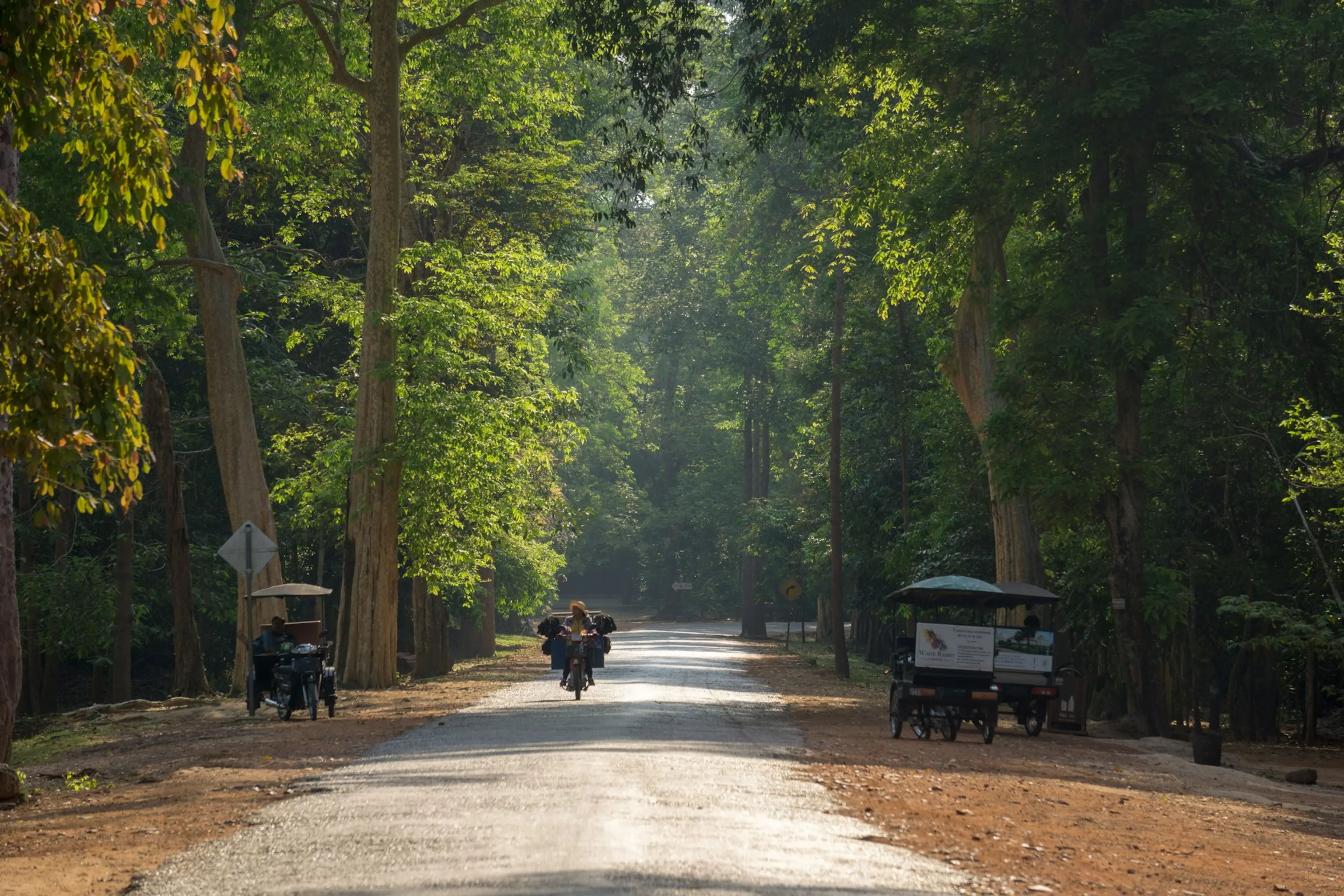 Cycle Cambodia: Kirirom National Park