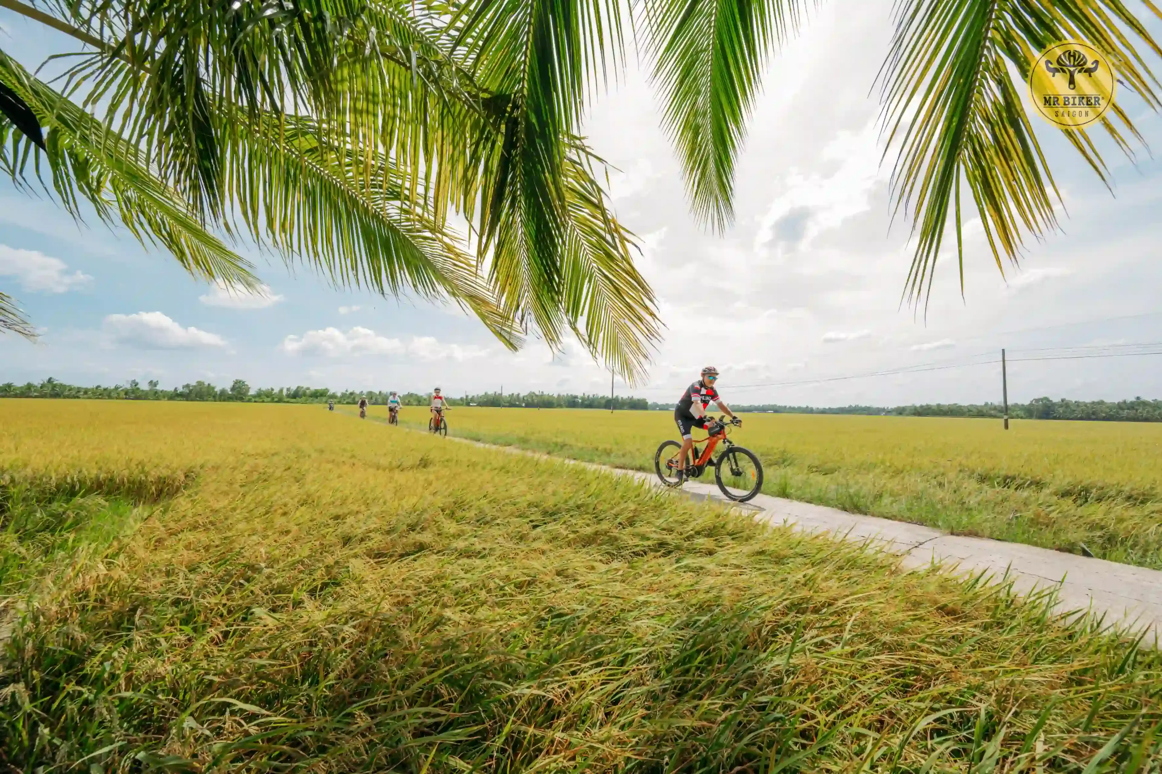 Revolutions & Revelations: My First Vietnam E-Bike Tour