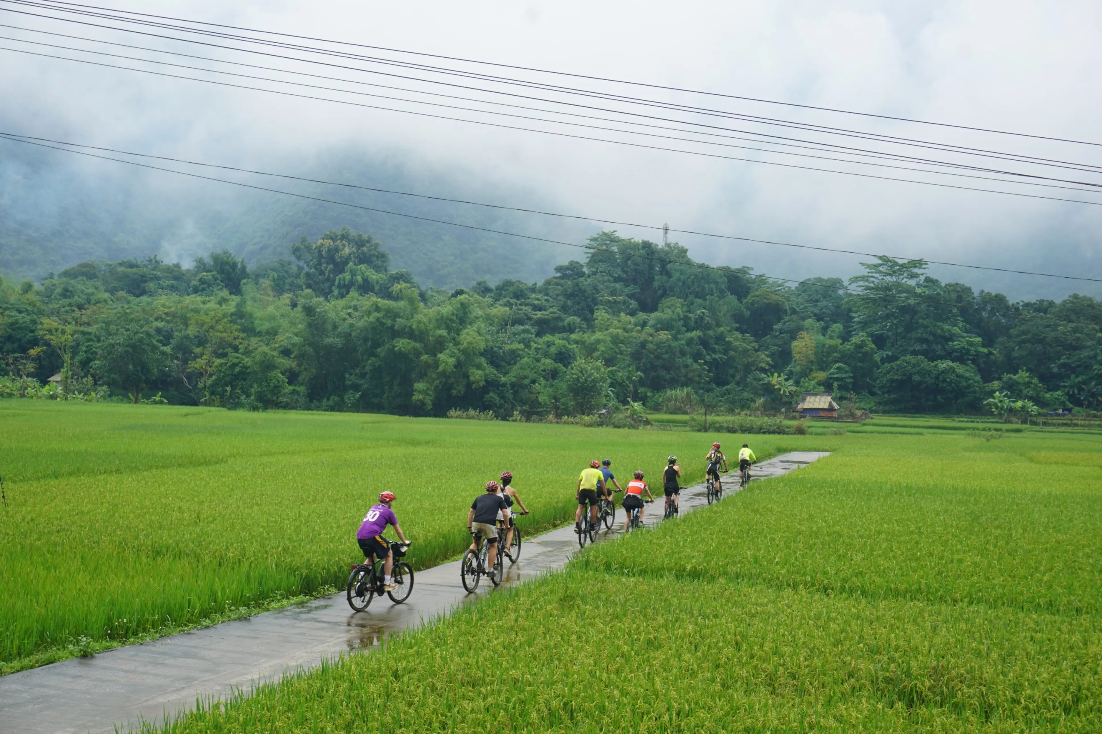 Vietnam’s Must-Visit Spots for Gravel Cycling Enthusiasts