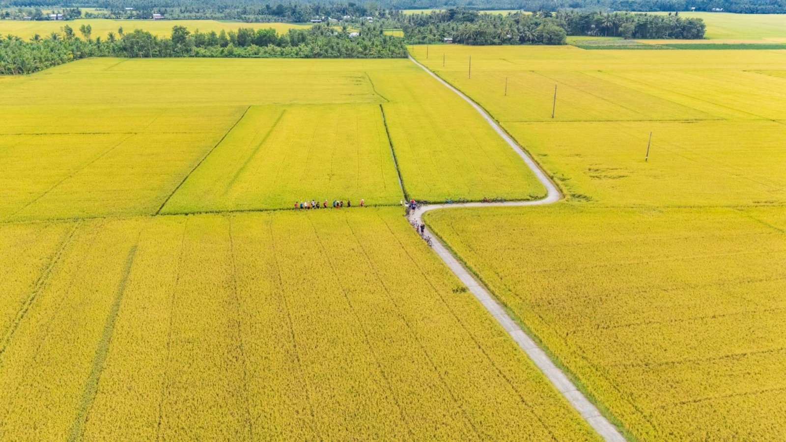 Copy-of-DJI_20241129133030_0076_D_FLYVOI_resized-scaled_resized