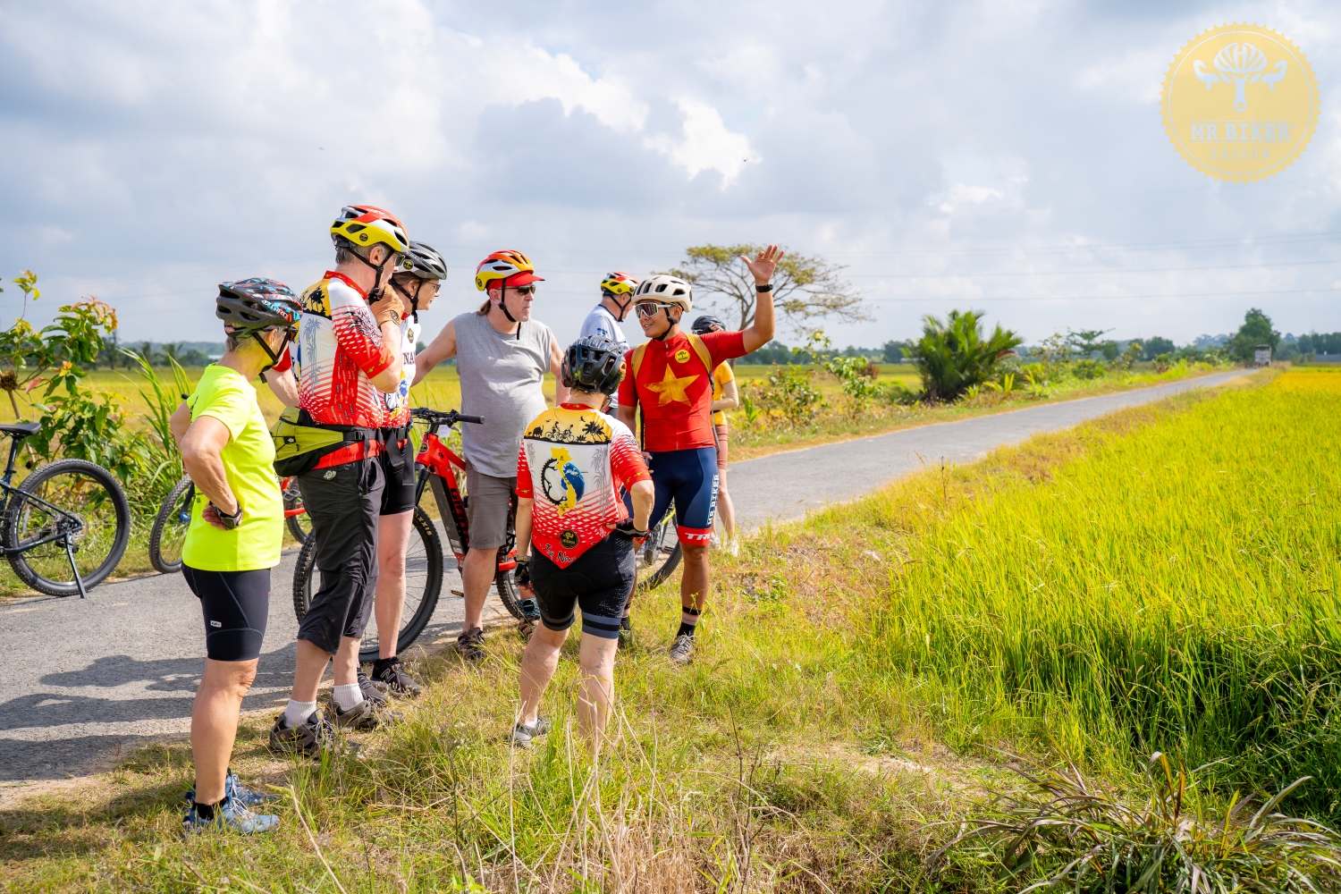 Professional cycling guides